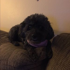 Meet your Posher, Erin